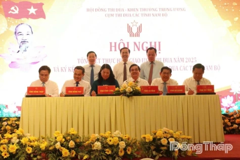 Dong Thap Ranks Third in the Emulation Cluster of Southern Provinces