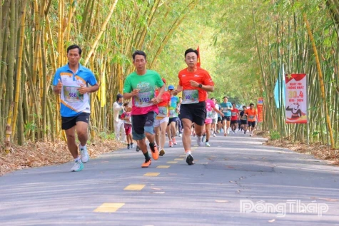 PHONG MY: Over 1,100 runners join the 2026 Gao Giong Bamboo Route Cross-Country Race