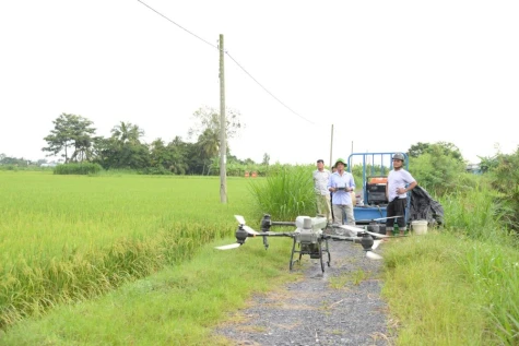 Đẩy mạnh ứng dụng AI, chuyển đổi số