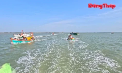 Gia Thuận: Rộn ràng Lễ hội Nghinh Ông Nam Hải năm 2026