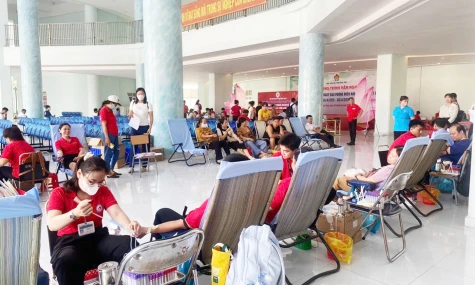 Đồng Tháp: Tiếp nhận hơn 300 đơn vị máu
