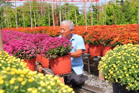 Khi nông nghiệp “kể chuyện”