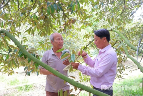 Mỹ Hiệp - Từ quá khứ hào hùng đến khát vọng phát triển quê hương