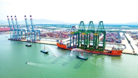 Kinh tế Việt Nam duy trì đà tăng trưởng mạnh mẽ