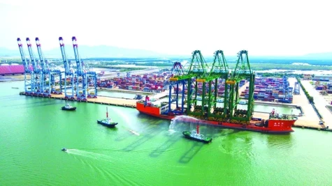 Gia tăng nội lực trong một thế giới bất định
