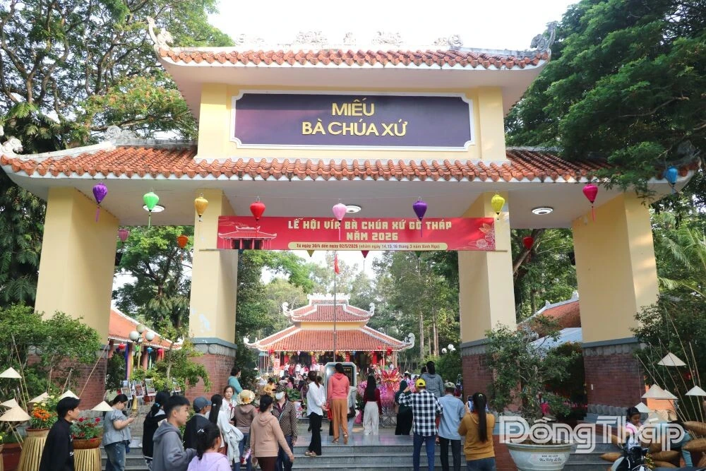 Fostering Community Ties and Elevating Dong Thap’s Profile