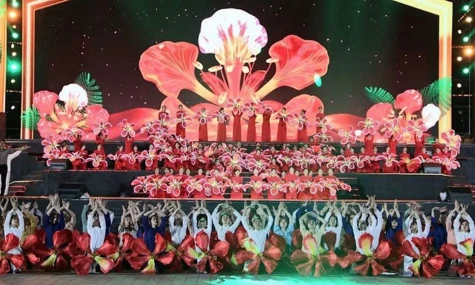 Red Flamboyant Festival offers Hai Phong a platform for cultural exchange