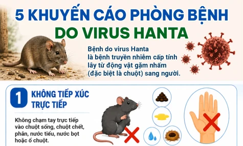 [Infographic] 5 khuyến cáo phòng bệnh do virus Hanta
