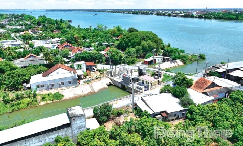 Cù lao Tây: Khi một vùng quê không chỉ sống bằng trái xoài