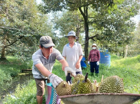 Đồng Tháp: Tập trung triển khai truy xuất nguồn gốc nông, lâm, thủy sản