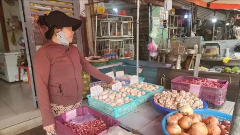 Giá gà thịt và trứng giảm sâu
