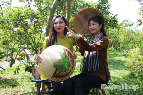 Elevating Agro-Tourism