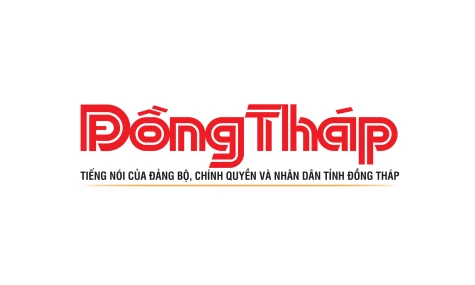 Các trang web, mạng xã hội của Báo và phát thanh, truyền hình Đồng Tháp trên nền tảng số