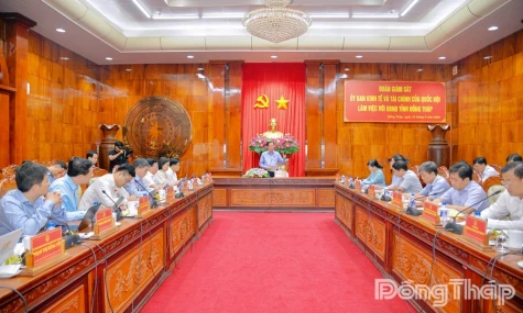 Đoàn giám sát Ủy ban Kinh tế và Tài chính của Quốc hội làm việc với tỉnh Đồng Tháp