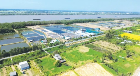Khi đất “biết đau”…