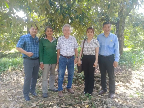 Triển khai mô hình canh tác sầu riêng kiểm soát kim loại nặng Cadimi đáp ứng tiêu chuẩn xuất khẩu