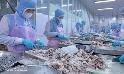 Viet Nam's aquatic product exports aim for 12 billion USD target