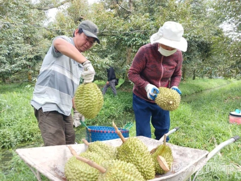 Adapting to New Regulations to Sustain Agricultural Export Momentum