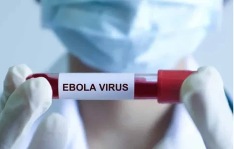 Hơn 80 ca tử vong nghi do nhiễm virus Ebola ở Congo, Bộ Y tế ra thông báo khẩn
