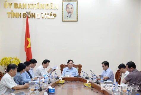 Lễ hội Trái cây Đồng Tháp lần thứ I sẽ diễn ra nhiều hoạt động phong phú, đặc sắc