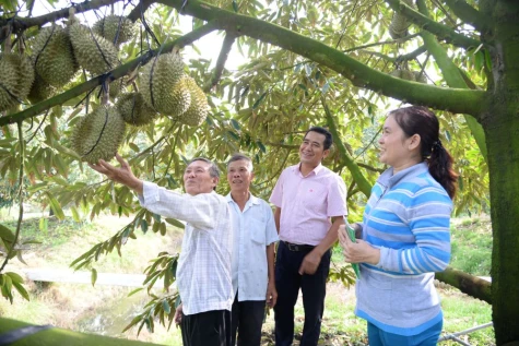 Khát vọng vươn xa của nông sản Đồng Tháp