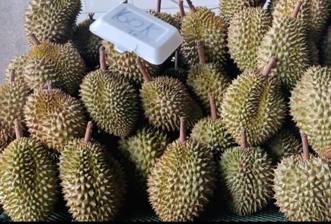 Sầu riêng 'rẻ chưa từng có' ở TP. Hồ Chí Minh