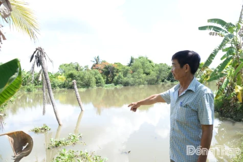 Tuyến đường Đông sông Trà Tân: Sạt lở ảnh hưởng đến đời sống người dân