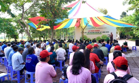 C.P. Việt Nam tiếp sức Đồng Tháp, Đồng Nai phát triển mảng xanh