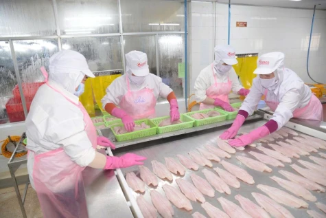 Đồng Tháp: Thúc đẩy doanh nghiệp nâng chuẩn chất lượng