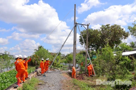 Diễn tập chủ động ứng phó thiên tai, đảm bảo vận hành lưới điện