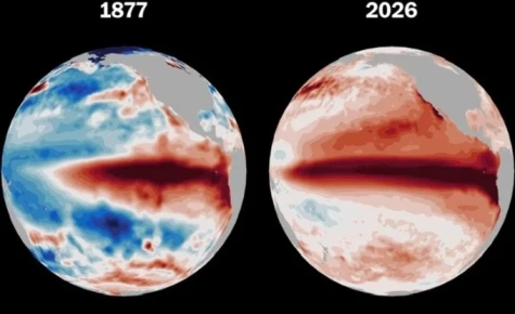 Dòng nước ấm cung cấp sức mạnh cho siêu El Nino