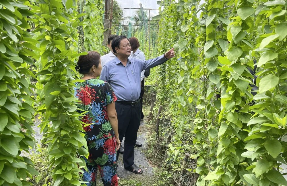 Đồng chí Lê Minh Hoan gặp gỡ, chia sẻ với nông dân phường Mỹ Tho