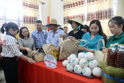 Đồng Tháp: Phụ nữ khẳng định vai trò trong phát triển kinh tế tập thể