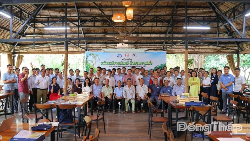 Dong Thap Seeks Eco-Friendly Solutions to Tackle Rice-Damaging Golden Apple Snails