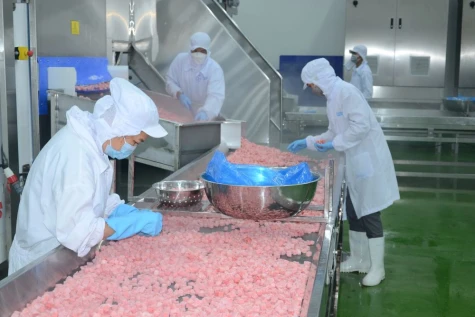 Chế biến sâu: Đòn bẩy nâng cao giá trị cây ăn trái