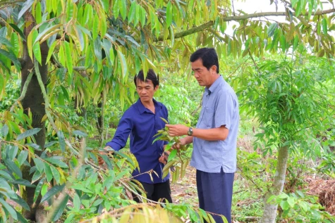 Điểm tựa cuộc sống từ những căn nhà Đại đoàn kết