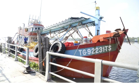 Đồng Tháp: Tăng cường tuyên truyền chống khai thác hải sản bất hợp pháp