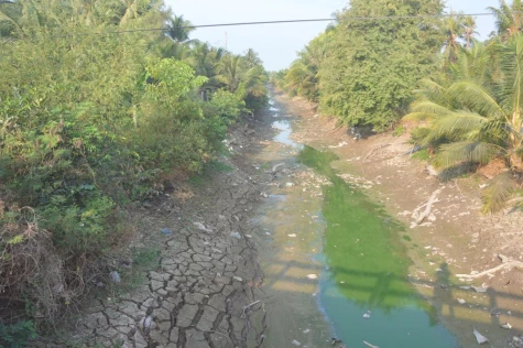 Đồng Tháp: Chủ động ứng phó ảnh hưởng của hiện tượng El Nino