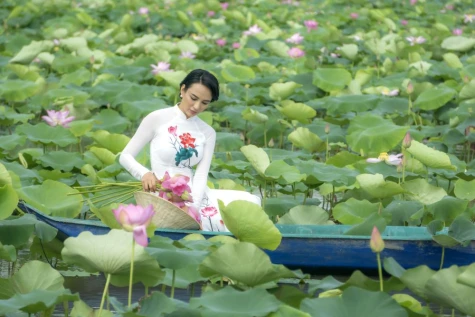 Sen trong đời sống văn hóa của người Đồng Tháp