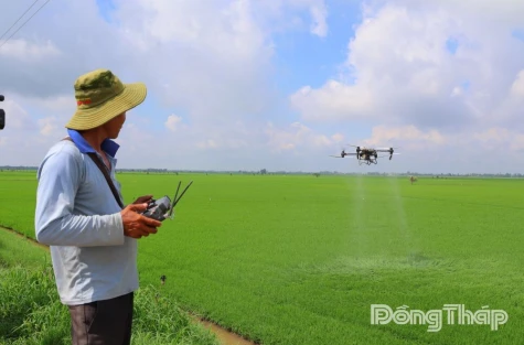 Tam Nong: The One-Million-Hectare Rice Project and a Paradigm Shift in Farming Mindset