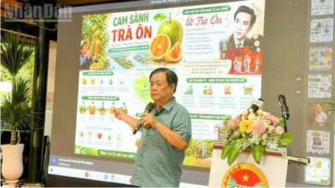 Chuyển đổi tư duy từ sản xuất nông nghiệp sang kinh tế nông nghiệp