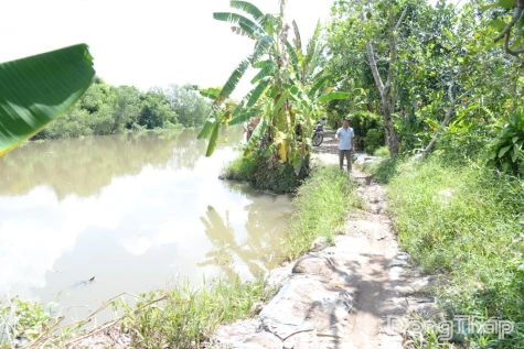 Đồng Tháp: 8 điểm sạt lở bờ sông cần xây dựng công trình bảo vệ với kinh phí khoảng 4.725 tỷ đồng