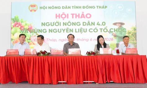 Đồng Tháp: Hướng đến nền nông nghiệp có tổ chức