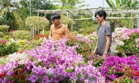 Tập trung phát triển khoa học, công nghệ, đổi mới sáng tạo và chuyển đổi số