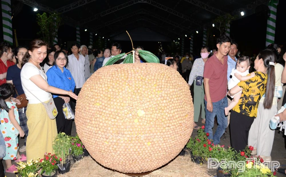 Trái cây đặc sản đầy ắp tại Không gian trưng bày, triển lãm chuỗi giá trị ngành hàng trái cây Đồng Tháp