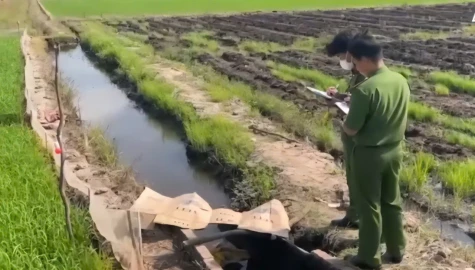 Đồng Tháp: Sử dụng điện để bẫy chuột dẫn đến chết người