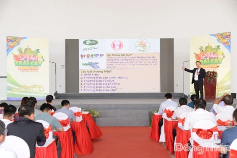Xây dựng và phát triển thương hiệu các sản phẩm nông nghiệp chủ lực tỉnh Đồng Tháp