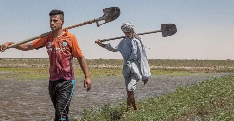 Phát triển nông nghiệp để giải cứu hành tinh