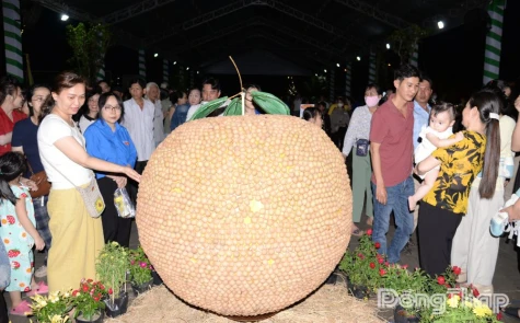 Specialty Fruits Fill Dong Thap Fruit Industry Value Chain Exhibition Space