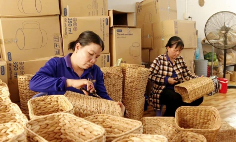 Phường Cao Lãnh: Đẩy mạnh kinh tế tuần hoàn, nâng tầm nông sản